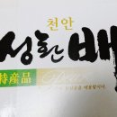 강남농원 티스토리