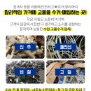 송천주유소 이미지