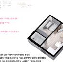 아델리아 이미지