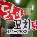 닭에꼬치닭 - 음성군 무극로308번길 9-1 | 닭에꼬치닭