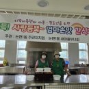 남동과일