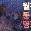 서정동물병원 이미지