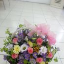 사랑의꽃집 이미지