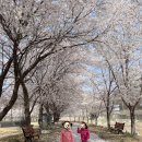 서하체육공원 이미지