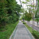 넘은들근린공원 이미지