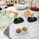 울산 강일웅동물메디컬센터 이미지