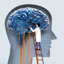 AI칩 26만장 돌리는데 ‘인구 20만 신도시’ 2곳 1년치 전력 필요 이미지