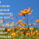 푸른의료기 | [태안 배송후기] 어르신의 든든한 이동 수단, 프리미엄 전동스쿠터 '나드리500'