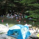 멍멍하니? 이미지