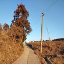 고흥군대서면신기보건진료소 | 남파랑길 고흥 74코스. 고흥 75코스