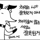 루피독 네이버블로그