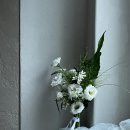 안단테블룸스쿨 | 💐안단테홍대 | 웨딩부케 디자인 마스터 과정 (내일배움카드,국비과정)