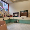 쇼리 외박일기 6