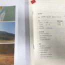 자연愛가 이미지