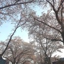 청풍민박 이미지