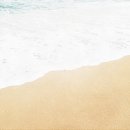 더 블루 이미지