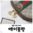 에이블랑 후기 명품가방 대여 구찌 오피디아GG 대여 후기