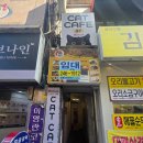 고양이다락방 | 남포동 고양이 다락방 카페 후기