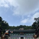 옥천 장령산: 용암사-전망대-거북바위-왕관바위-장령산-자연휴양림 이미지