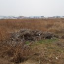 신암면041 이미지