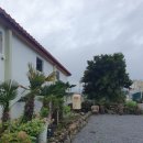 제주외가 이미지