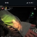 오곱하기오