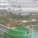 팜 (palm) | 푸켓 숙소 추천! 타본 팜 비치 리조트(Thavorn Palm Beach Resort) 내돈내산 후기(우기, 5월, 객실...