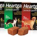 마음편한동물메디컬센터 이미지