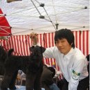 정원 퍼피 하우스 이미지