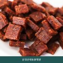 운정산내동물병원