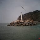 등대지기 이미지