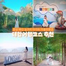팜파스휴게식당 | 충남 태안 여행코스 바다 먹거리 놀거리 태안 아이와 가볼만한곳