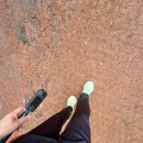 생명의숲 대종각 앞 | 장릉 생명의 숲 LSD 30km 훈련 후기 / 실패라고 생각했던 훈련이 더 강한 훈련이었던 이유 / 런카프리 훈련