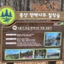 봉산 편백숲 공중화장실 이미지