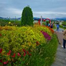 정부세종청사 옥상 정원길 | [세종 가볼만한 곳] 정부세종청사 옥상정원 후기(주차, 예약방법, 유모차, 산책코스)