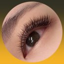 동탄감배산로 이미지