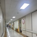 원주카톨릭병원 | 대구가톨릭대학 병원 6살 아들 아데노이드 및 편도절제 수술 후기