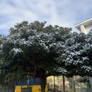 (주)앵콜스