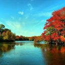 달빛품은바다 이미지