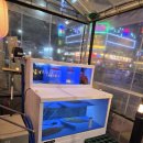 대전해물회집 | 대전 가오동 회 무한리필 유성회집 솔직후기 가성비횟집 스끼다시맛집 회맛집