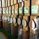 숲사랑유치원 이미지