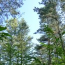 한반도면-7 이미지