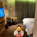 네이쳐앤디자인 | 19개월 아기와 히든클리프 호텔 앤 네이처 2박 후기 + 연돈