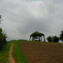 강남-188 이미지