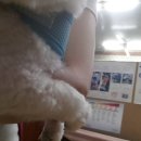 화랑동물병원 이미지