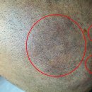 위라인(WEE:LINE) 이미지