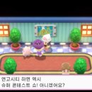 초원체육관 이미지