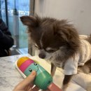 몽드드뚜뚜 이미지