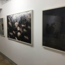 그래퍼스