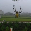 적금마을회관 이미지